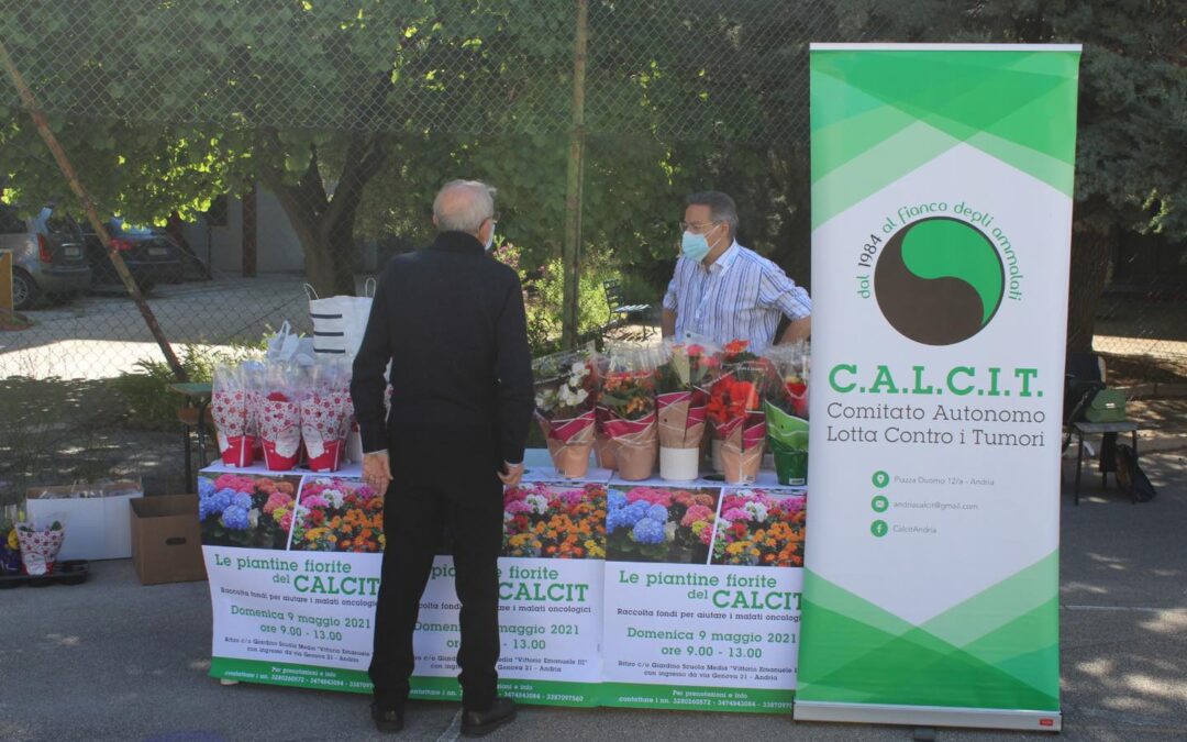 Tornano le “Piantine della Solidarietà” del Calcit in occasione della Festa della Mamma